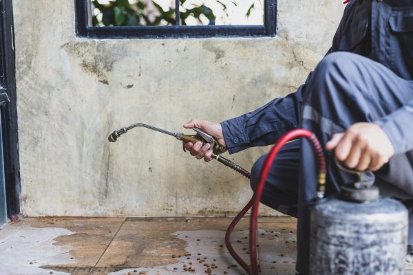 Professional exterminator in work wear spraying pesticide or insecticide with sprayer tank.